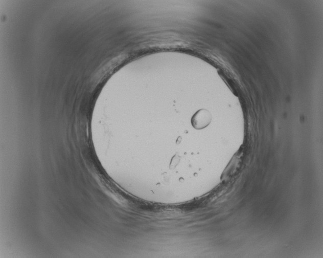 X0000067520397200605051900