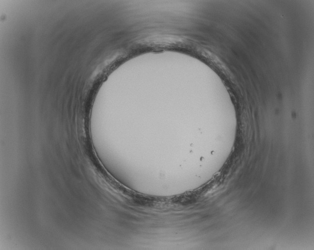 X0000067520399200605051900