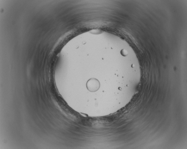 X0000067520400200605051900