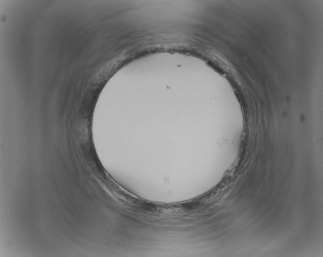 X0000067520401200605051900