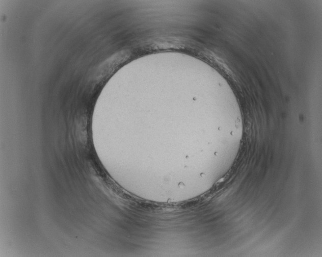 X0000067520402200605051900