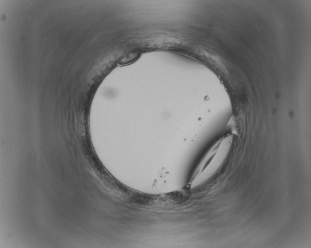 X0000067520403200605051900