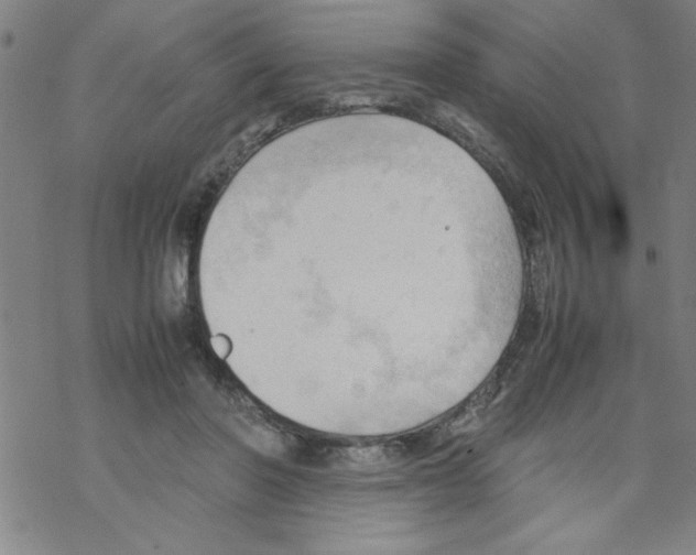 X0000067520406200605051900