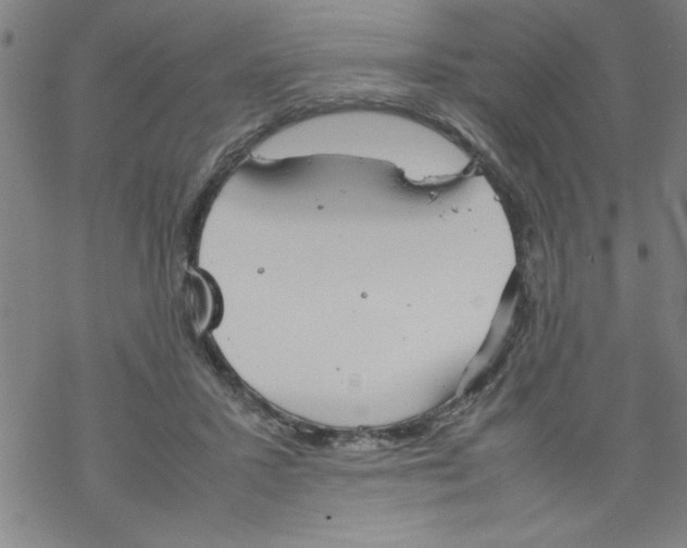 X0000067520407200605051859