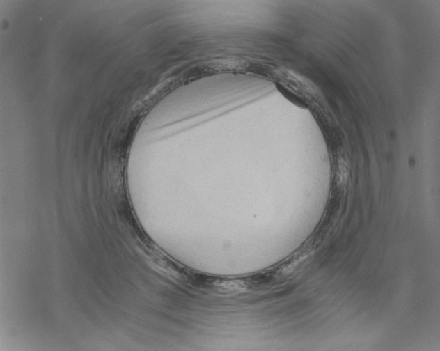 X0000067520409200605051859