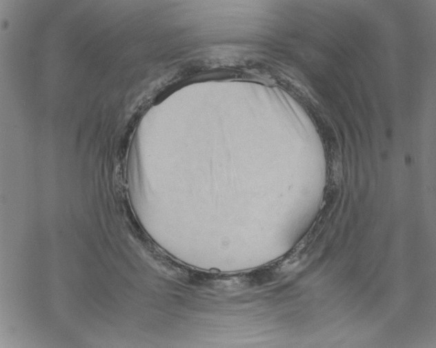 X0000067520411200605051859