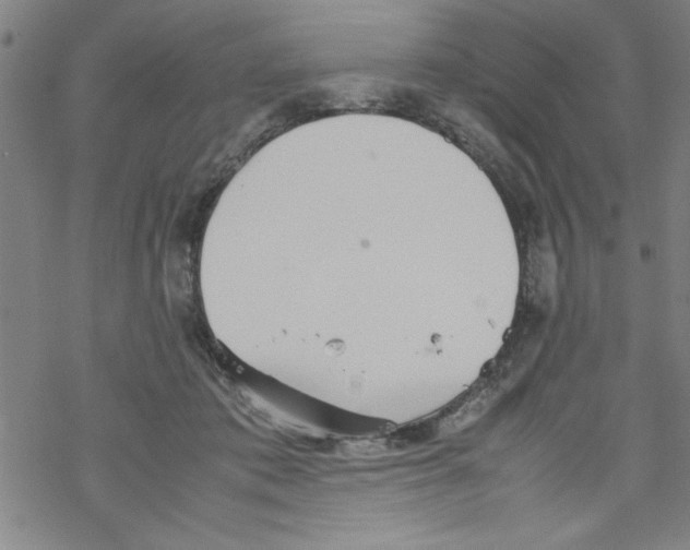 X0000067520413200605051859