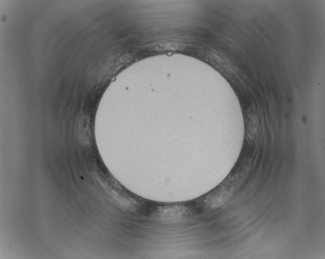 X0000067520414200605051859