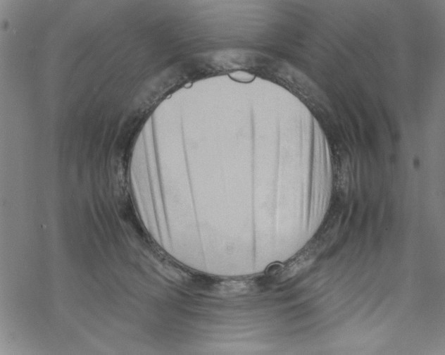 X0000067520418200605051859