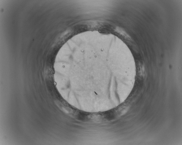 X0000067520419200605051859