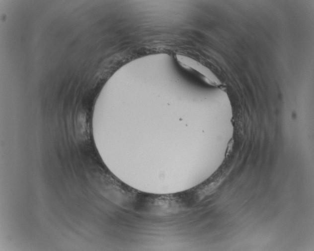 X0000067520420200605051859