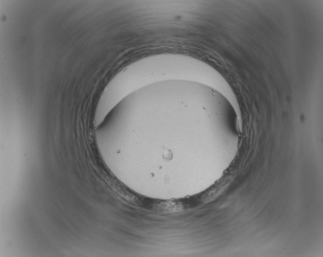 X0000067520421200605051859