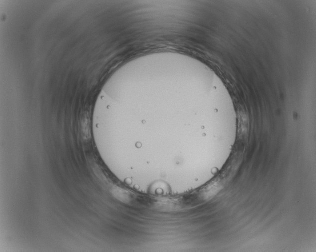 X0000067520422200605051859