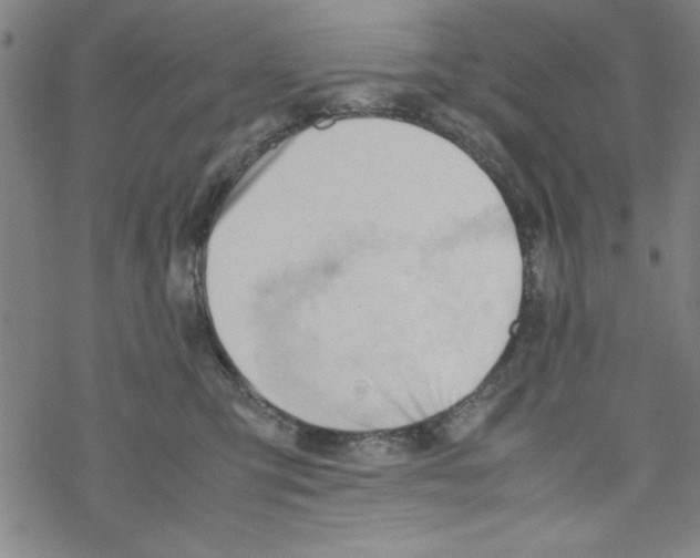 X0000067520423200605051859