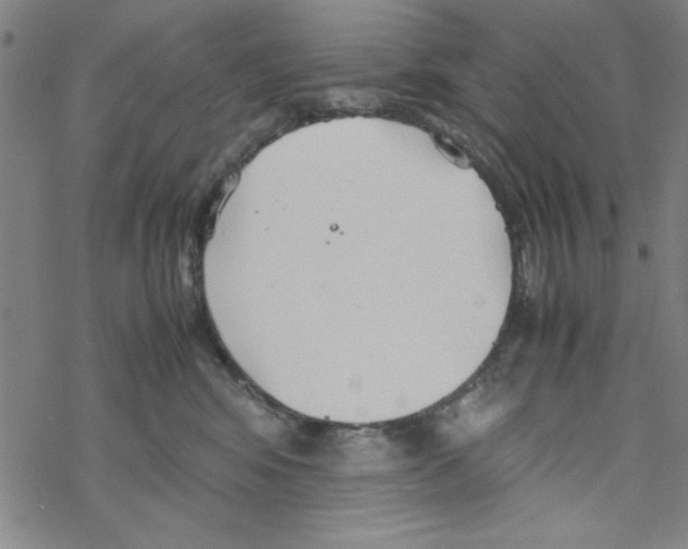 X0000067520424200605051859