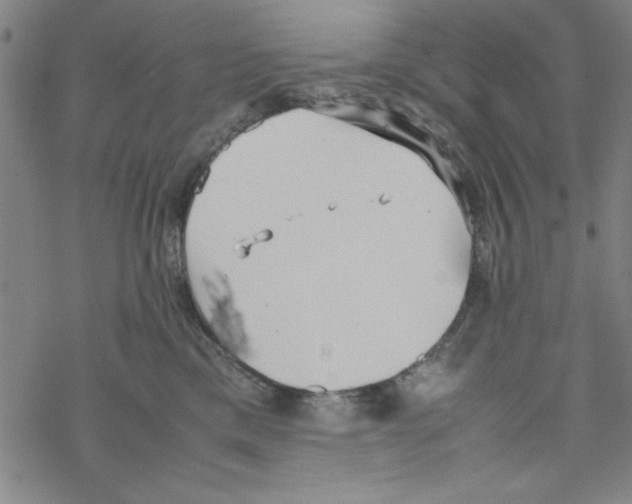 X0000067520425200605051859