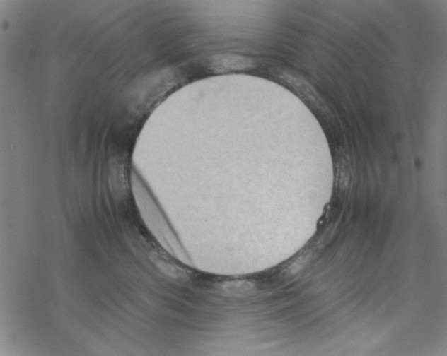 X0000067520426200605051859