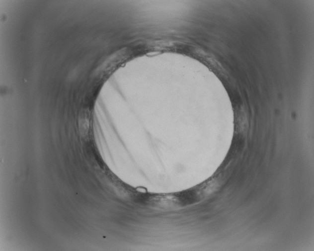 X0000067520427200605051859