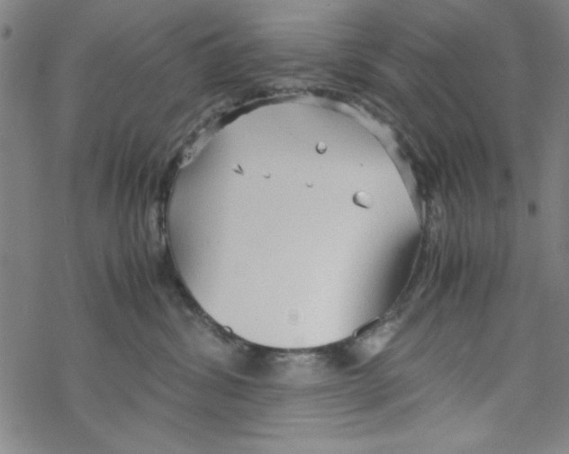 X0000067520428200605051859