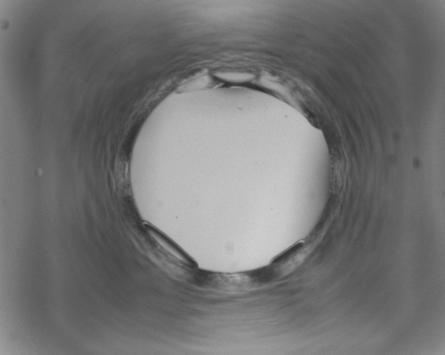 X0000067520429200605051859