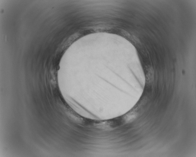 X0000067520430200605051859