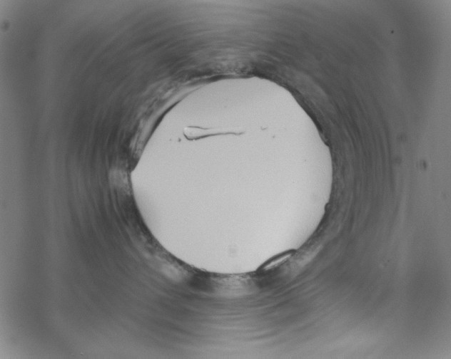 X0000067520432200605051859