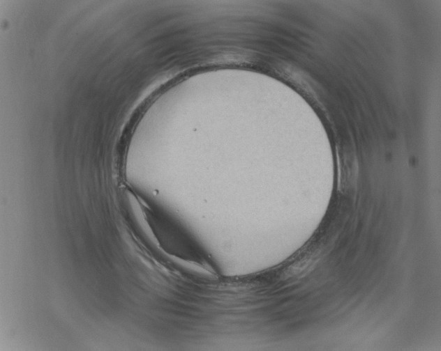 X0000067520435200605051858