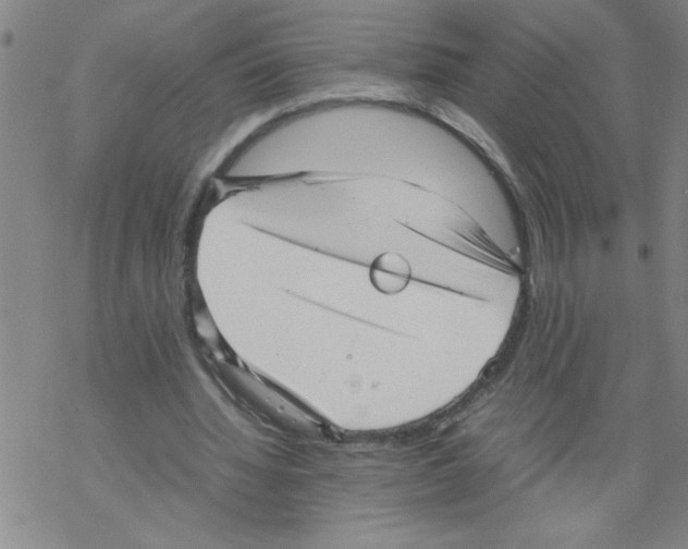 X0000067520436200605051858