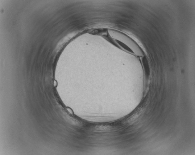 X0000067520437200605051858