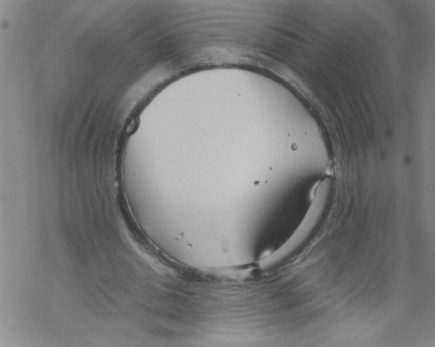 X0000067520438200605051858