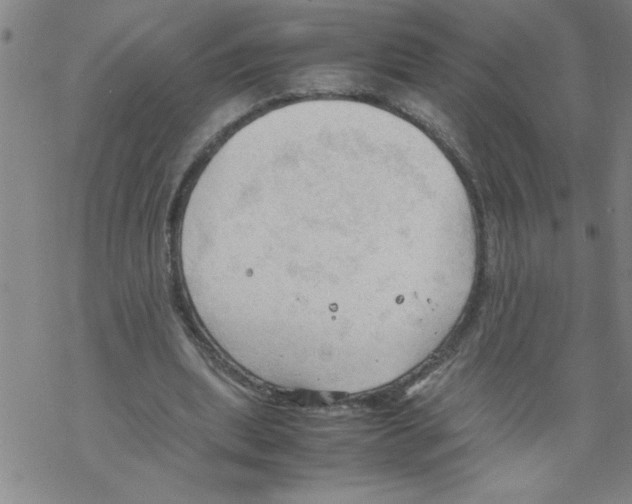 X0000067520439200605051858