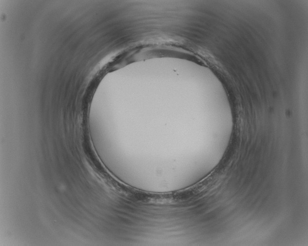 X0000067520440200605051858