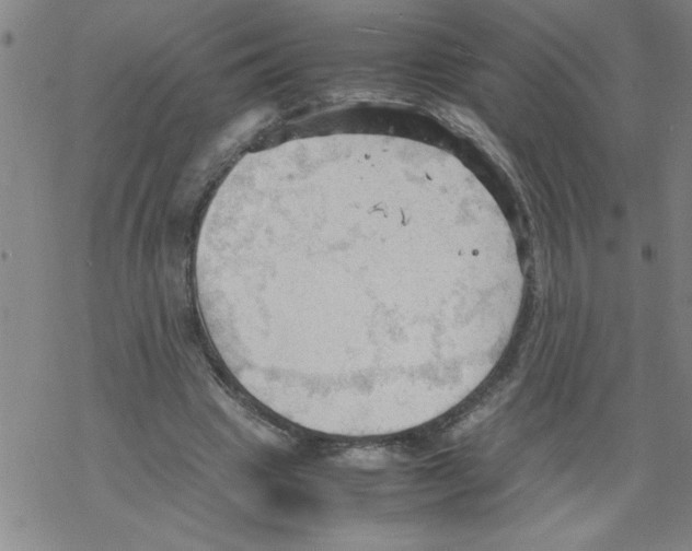 X0000067520441200605051858