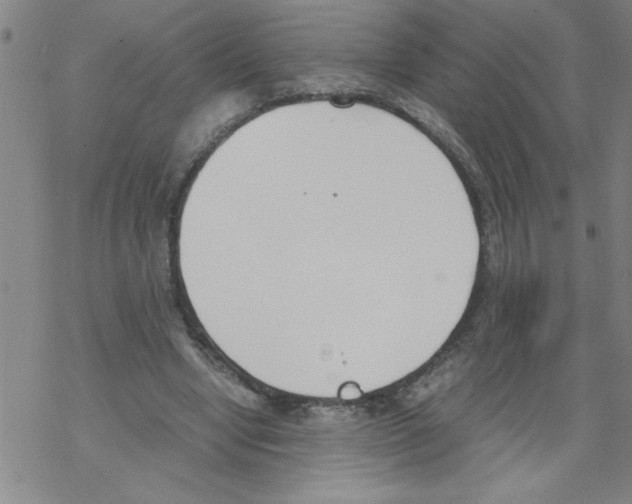 X0000067520442200605051858