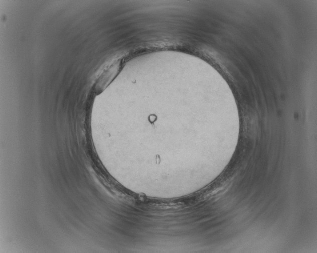 X0000067520443200605051858