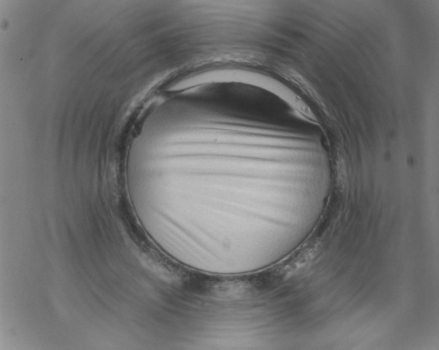 X0000067520444200605051858