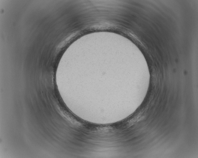 X0000067520446200605051859