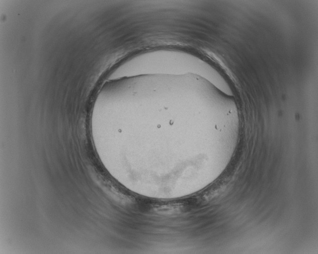 X0000067520447200605051859