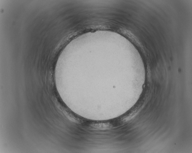 X0000067520449200605051859