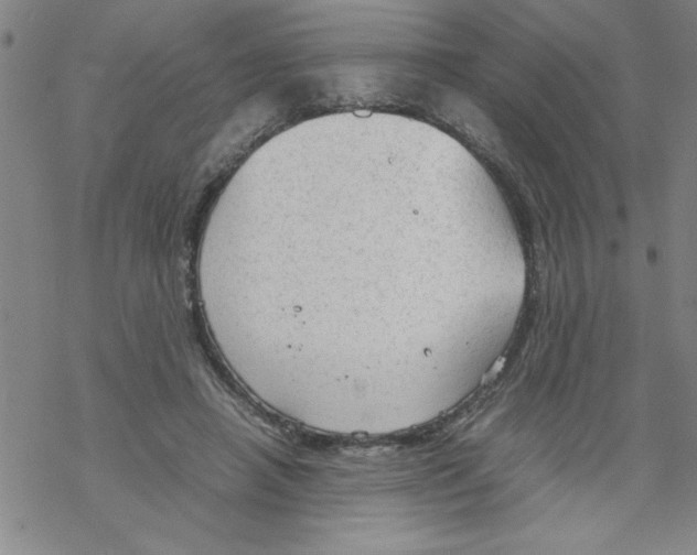 X0000067520450200605051859