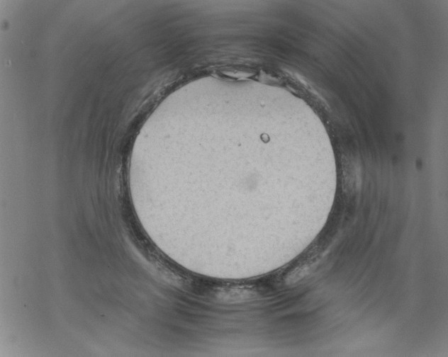 X0000067520451200605051859