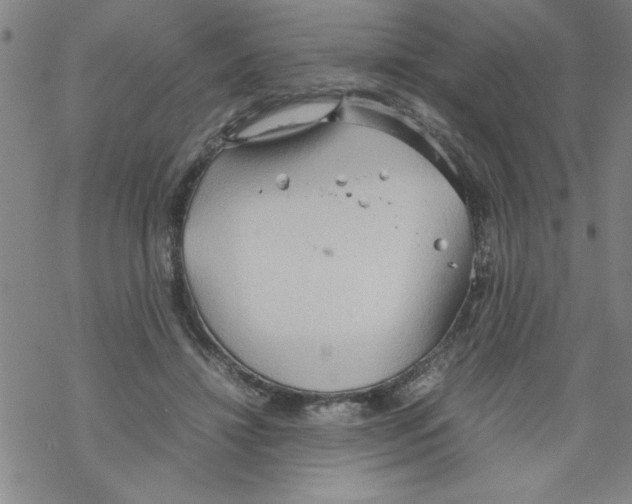 X0000067520452200605051859