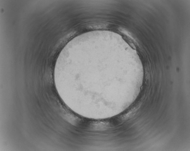 X0000067520453200605051859