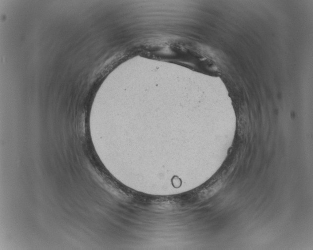 X0000067520454200605051859