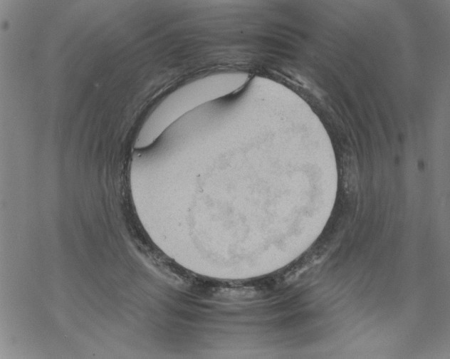 X0000067520455200605051859