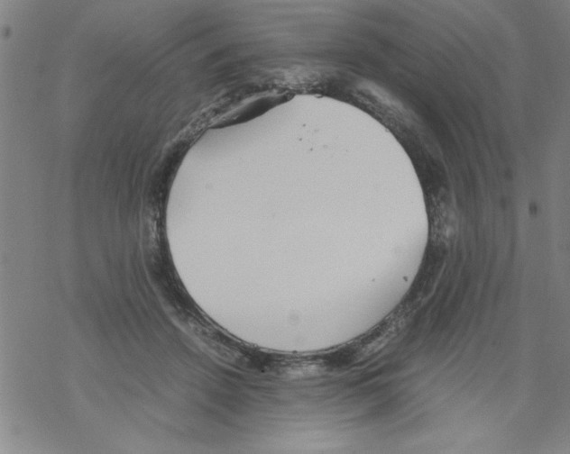 X0000067520456200605051859