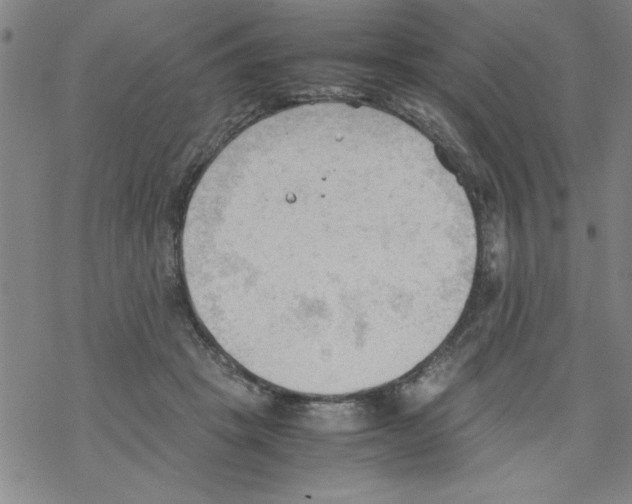 X0000067520457200605051859