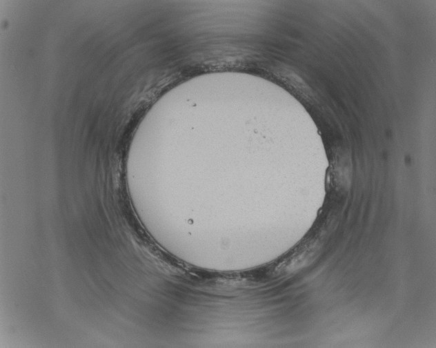 X0000067520458200605051859