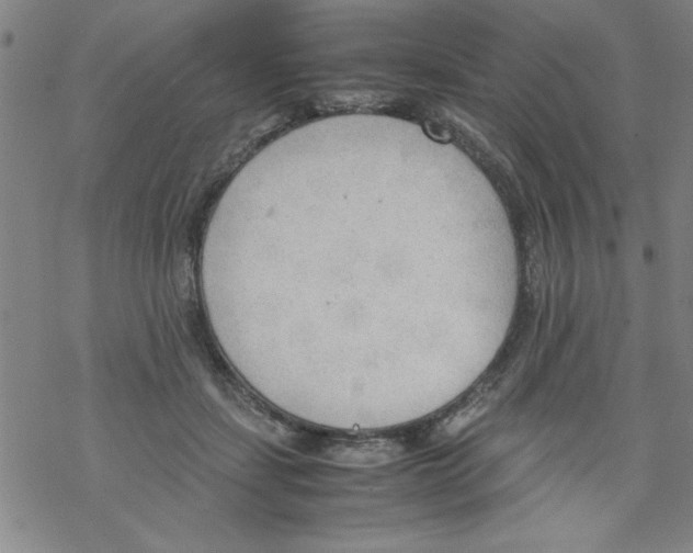 X0000067520459200605051859