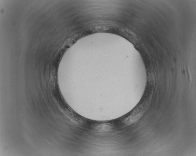 X0000067520460200605051859